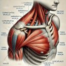 머신휘트니스 이미지