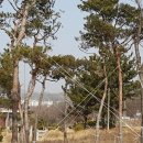 금마조경 이미지