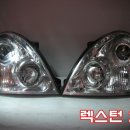 퍼피테일 이미지