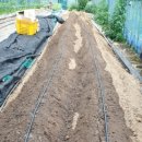 용토목장 이미지