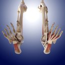 수원고려본정형외과의원 이미지