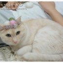 금비농장 이미지