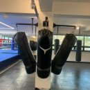 송탄권투체육관 이미지