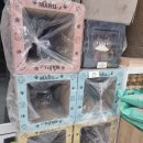 진영냥이 이미지