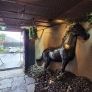 꼭지목장 이미지