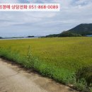 포항시북구96 이미지