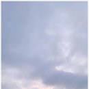 금갑해변 이미지