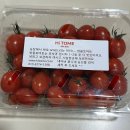 토미코리아 | 2025 푸드위크 코리아_코엑스 박람회 첫날 방문 후기_부스 추천