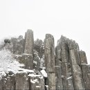 광주123 이미지