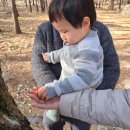 설악농장 | 강원도 고성 감성 숙소 아기랑 가족여행 리조트 켄싱턴 설악밸리 베른