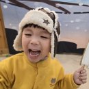 오감스토리 Daum카페