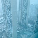 상갈역 피부과 전문 병원 후기 좋은곳 추천 6곳