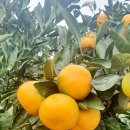 가가부동산공인중개사사무소 이미지