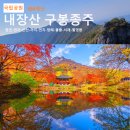 ♣ 11월 7일(토) 단풍의 백미, 국립공원 내장산(100명산) 단풍 산행 안내 이미지