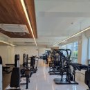 블랙맘바짐 이미지