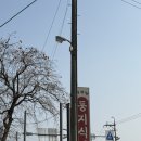 둥지목장 | 강릉 현지인집밥 맛집 백반한상 둥지식당 리뷰