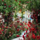 HOTEL DE CIEL(드 씨엘) | [예식상담] 대전 신상 밝은홀 씨엘드레브 상담후기 (계약 O)