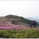 장평카센타 이미지