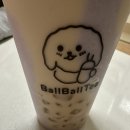 볼볼티 이미지