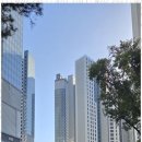 과천공인중개사사무소 이미지