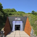 와인동굴 이미지