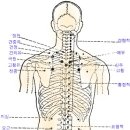 경 혈(혈자리) : 뜸 자 리 이미지