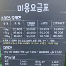 뽀dog 이미지