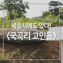 국곡리 입석 이미지