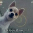 울산웨딩갤러리 | W1/추진력 넘치는 결혼준비/26년 현실적인 웨딩베뉴 정하기/울산웨딩박람회 계약 후기