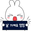 카페247 이미지