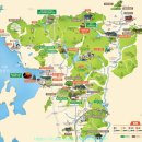 함평 자동차극장 전경(전남 함평군) 이미지