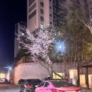밀린 일기 청산쇼