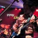 꿈꾸는 나비 이미지