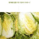 [예약주문] 2011년 괴산절임배추 예약주문 받습니다!! 이미지