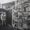 대전도매시장 이미지