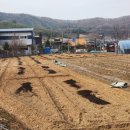 연곡리 농장 네이버블로그