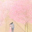 버드패밀리