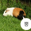 카페 아리온 이미지