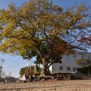 고남2리 이미지