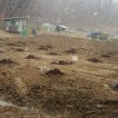 옥주농장 이미지