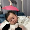 전주지역자활센터보드레기저귀 이미지