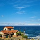 바다엔소나무 이미지