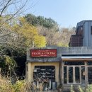 삐꼴라상점 | 제주 삐꼴라상점 후기｜삐꼴라상점 와인 가격,택배 정리 / 애월 내추럴 와인샵
