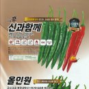 동남바이오 | 2026년 #농우바이오 고추품종 소개드립니다.