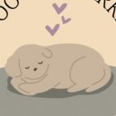 우블리마켓