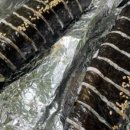 봉's김밥 이미지