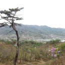 기양1리 | 작은우태산(449m).우태산(492m).미모산(478m).삼두봉(342m).삼두산(384m).백운산(삼방산631m).세심산...
