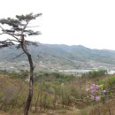 우태산(492m).미모산(478m).삼두봉.산(384m).세심산(611m)백운산1.2.(631m)/경북 김천 이미지