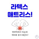 신우팜 | 가성비 갑 자취방 매트리스 찾는 중이라면? 라텍스 매트리스 S(신우팜앤라텍스 느웰)