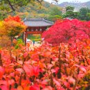 구미성리학역사관 야은관(강당) 이미지